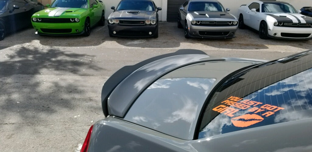 2015-2023 Chrysler 300s WickerBill